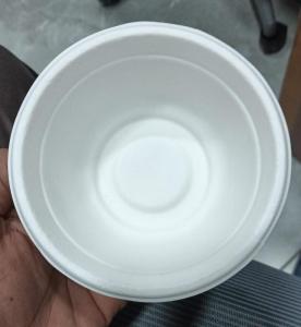 Wholesale Tableware: Bagasse Plate Bowl Cup