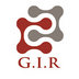 Global Indo Resources, CV Company Logo