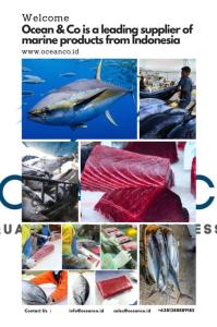 Wholesale Frozen Food: Sell At Competitive Price of Tuna Yellow Fin