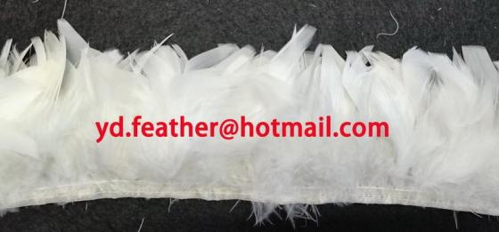 Sell Stripped Turkey Flat Feather Fringe for wholesale from China