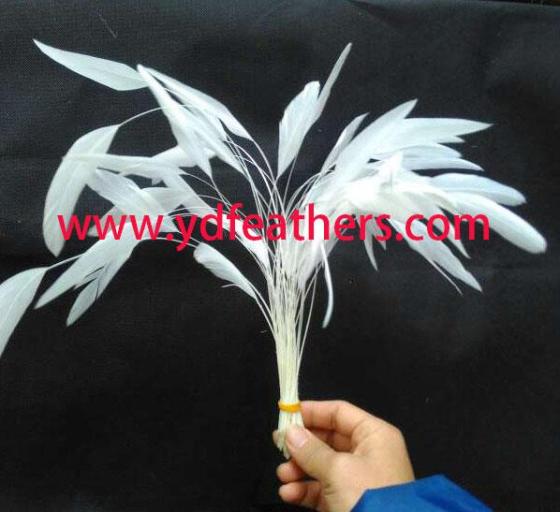 Sell Stripped Rooster/coque/cock tail for wholesale from China