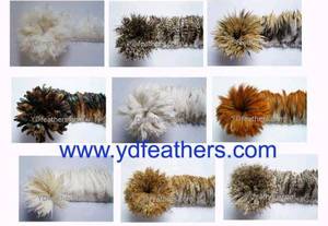 Wholesale christmas flowers: Rooster /Cock /Coque Feathers From China