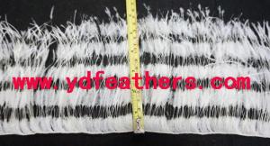 Wholesale natural hair dye: Partially Stripped Ostrich Feather Fringe Sewn On Cord From China for Wholesale