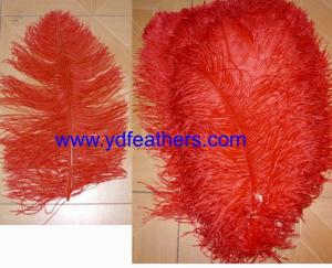 Wholesale mascot costume: Ostrich Plume Feather for Wholesale From China
