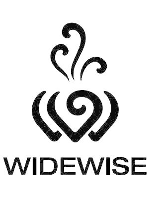 Widewise Electronic Technology Co., Ltd. Company Logo