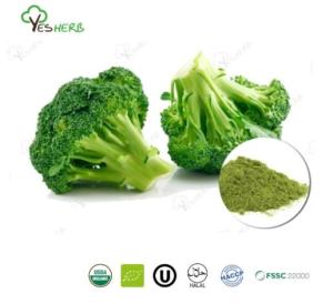 Wholesale g: Broccoli Powder