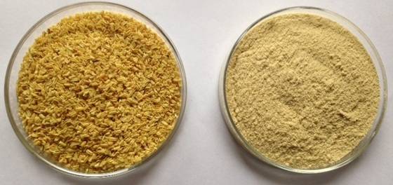 Sell Cassia Seed Extract / powder