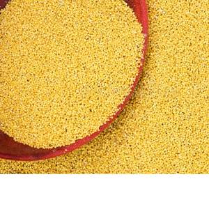 Wholesale moisture: Yellow Millet