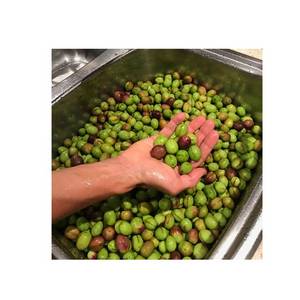 Wholesale fresh pepper: Fresh Olives