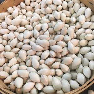 Dried and Fresh Ginkgo Nuts 