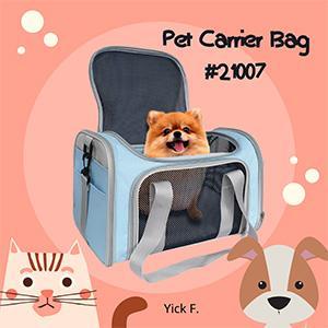 Wholesale luggage: Foldable PET Carrier Bag - #21007