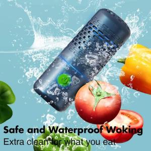 Mobile Vegetable Washer