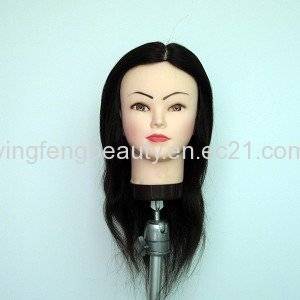 Wholesale hair growth products: Training Head