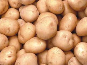 Wholesale Fresh Potatoes: Fresh Potato