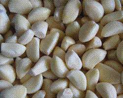 Wholesale garlic cloves: Frozen Garlic Cloves