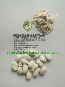 Wholesale white kidney bean extract: Manufacturer White Kidney Bean Extract 3000 Units/G, High Quality with Special Tech