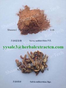 Wholesale Plant Extract: Salvia Root Extract manufacturer