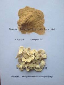 Wholesale astragalosides: 100% Natural Astragalus Root Extract, Polysaccharide 50%, Top Quality