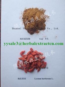Wholesale nourish liver: Wolfberry Extract,Goji Berry Extract, Polysaccharide 40%, Chinese  Facory, Traditional