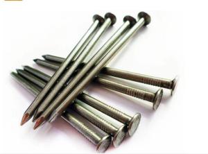 Wholesale common nail: Common Wire Nails