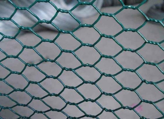 Hexagonal Wire Mesh image 1 Hexagonal Wire Mesh image 1