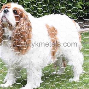 Wholesale manufacturer fences: Hot Dipped Galvanized Hexagonal Wire Netting    Hex Wire Netting     Hexagonal Wire Netting