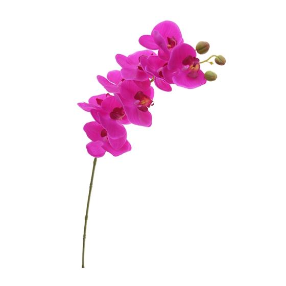 Wholesale Beautiful Phalaenopsis Flower Real Touch Artificial Plastic ...