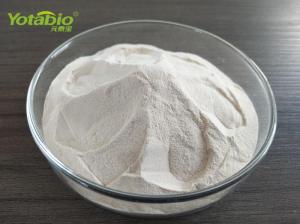 Wholesale Other Food Additives: Nisin
