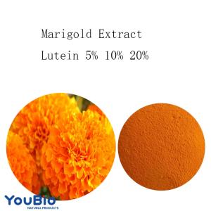 Wholesale marigold: Marigold Extract  Lutein 10%, 20%; Zeaxanthin 5% 10%.