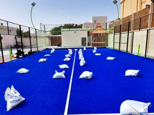 Wholesale six hands watch: Panoramic Padel Court  Installation Drawing From China Youngman