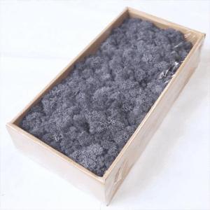 Wholesale grade a: Wholesale A Grade Stabilized Reindeer Preserved Moss Wall Decoration