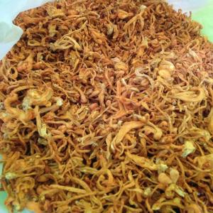 Wholesale Herb Medicine: Dried Cordyceps Militaris