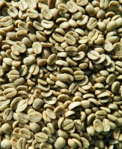 Wholesale dry pineapple: Kona Hawaii Extra Fancy Lions Gate Farm Green Coffee Beans