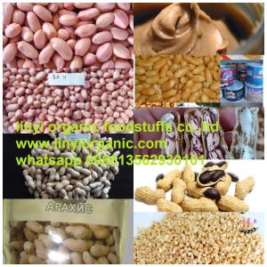 Wholesale Nuts & Kernels: Peanut