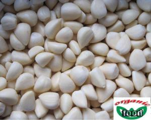 Wholesale frozen garlic: Frozen Garlic Cloves/Frozen Garlic Paste/Frozen Garlic Dices/Cub Garlic/Fresh Garlic/IQF Garlic