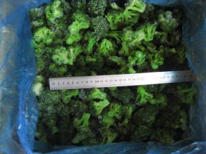 Wholesale broccoli: Frozen Broccoli /  IQF Broccoli /Frozen Cauliflower /IQF Cauliflower