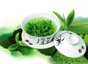 Wholesale teapot: Chinese Spring Green Tea