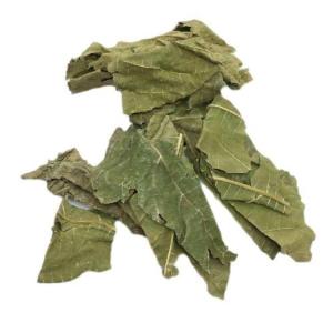 Wholesale herbal medicines: Traditional Chinese Herbal Medicine Mulberry Leaf for Wholesale