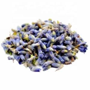 Wholesale sleep health: Popular Wholesale Organic Lavender Flower Buds for Flower Tea