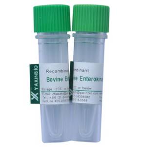 Wholesale u: Recombinant Bovine Enterokinase