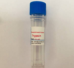 Wholesale ice therapy: Recombinant Human Trypsin