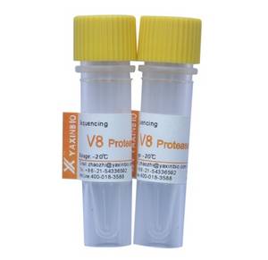 Wholesale l-lysine hcl: V8 Protease
