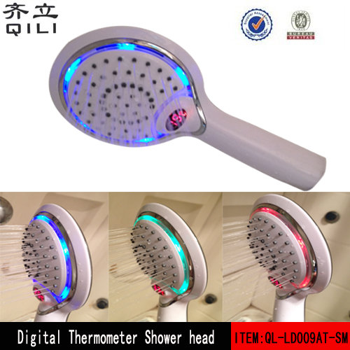Shower Head With Temperature Display