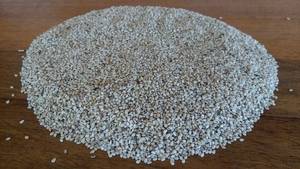 Wholesale sesame seed: White Sesame Seeds