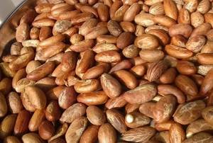 Wholesale fruits: Bitter Kola Nuts