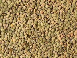 Wholesale lentil: Lentils