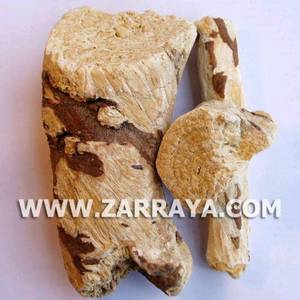 Wholesale root: Soap Root