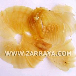 Wholesale adragante: Gum Tragacanth Wholesale adragante: Gum Tragacanth