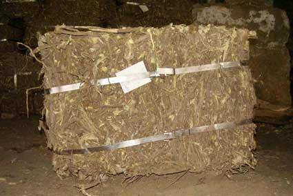 Licorice Roots