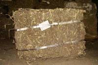 Licorice Roots